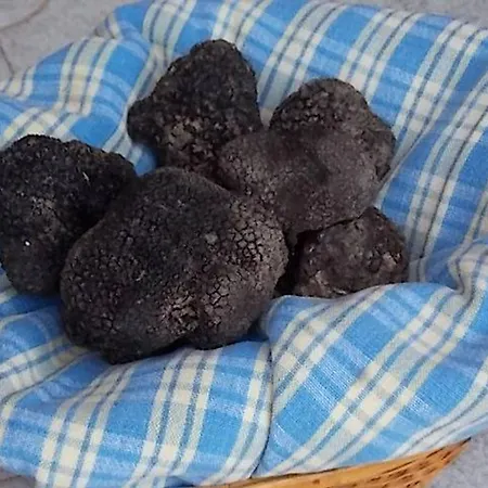 Pensión I Conti Urbania